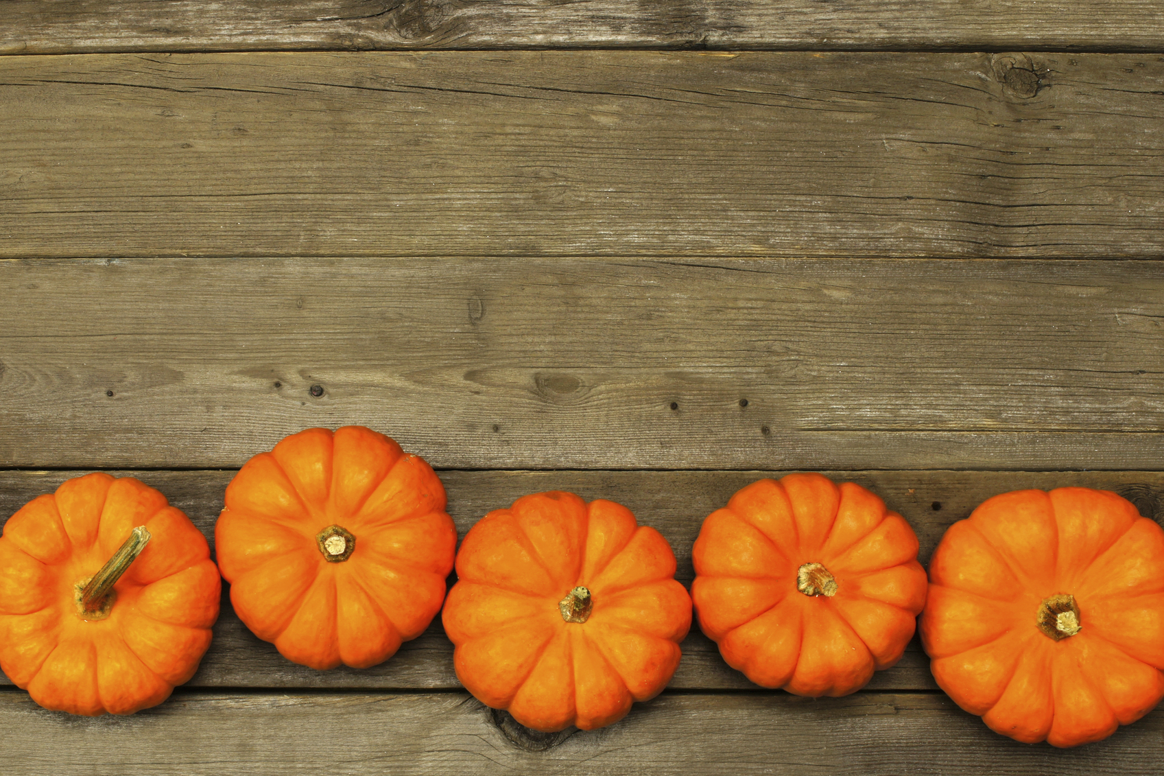 Autumn pumpkin border