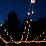 Festoon 14