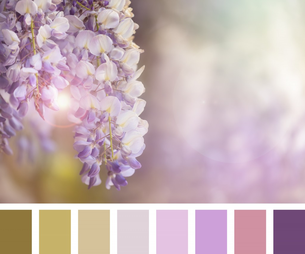 Spring Palette